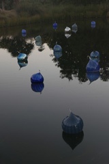 Chihuly floats